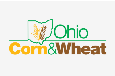 ohio corn & wheat